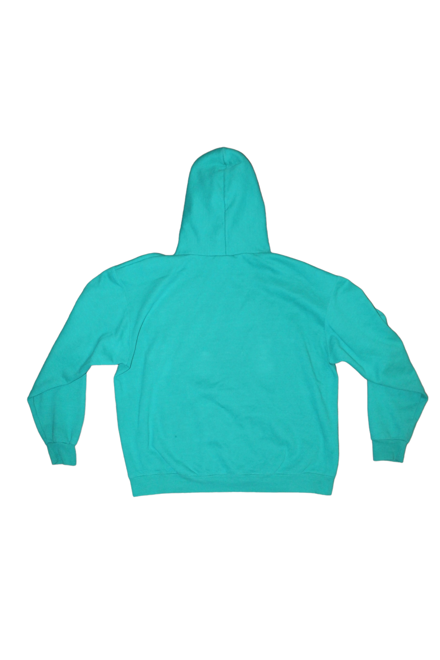 Champion Coastal Carolina University Hoodie