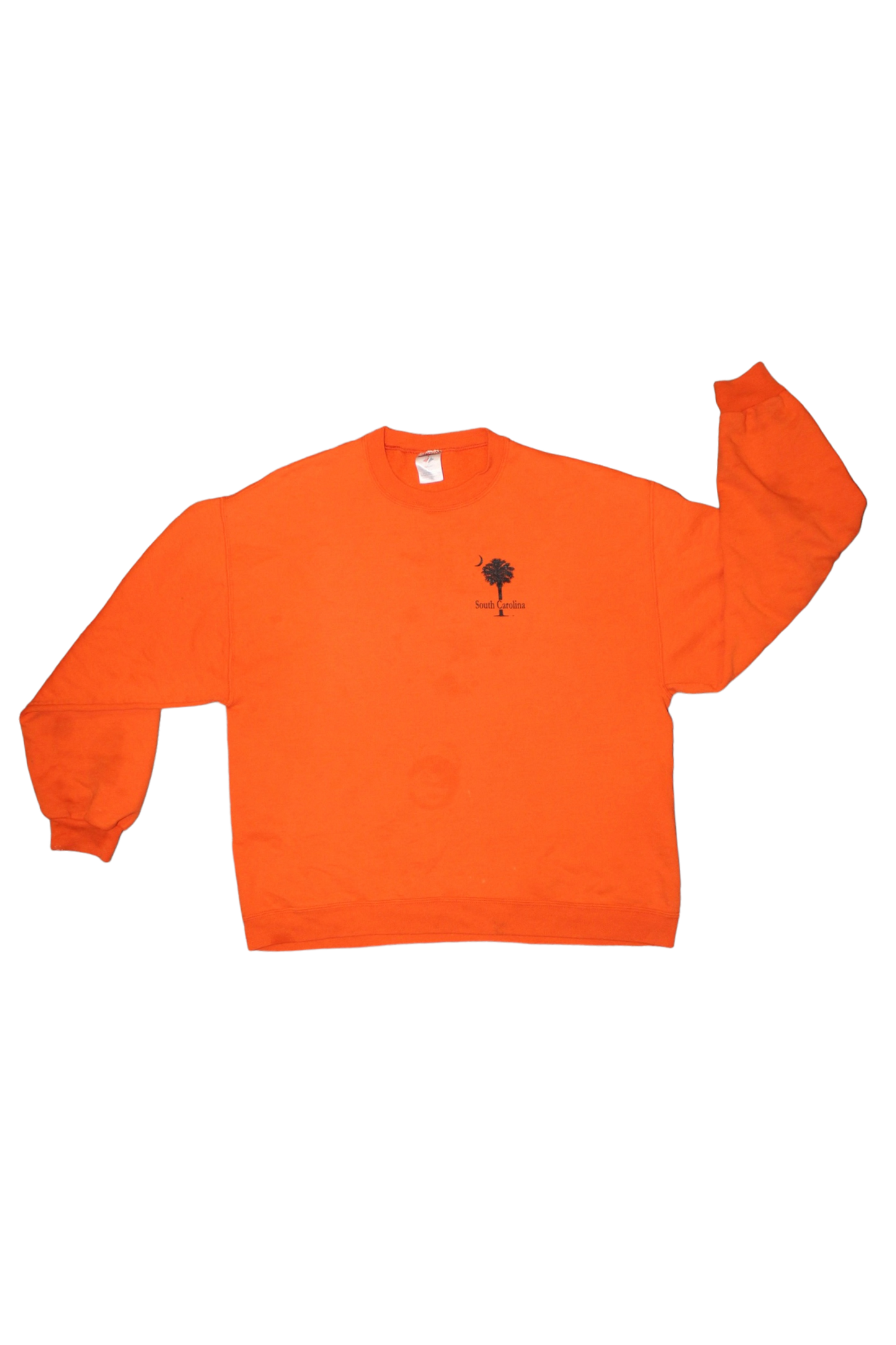 State of South Carolina Jerzees Sweatshirt